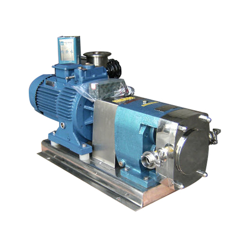 Hongtaivalve-rotor pump- HTV-RP001